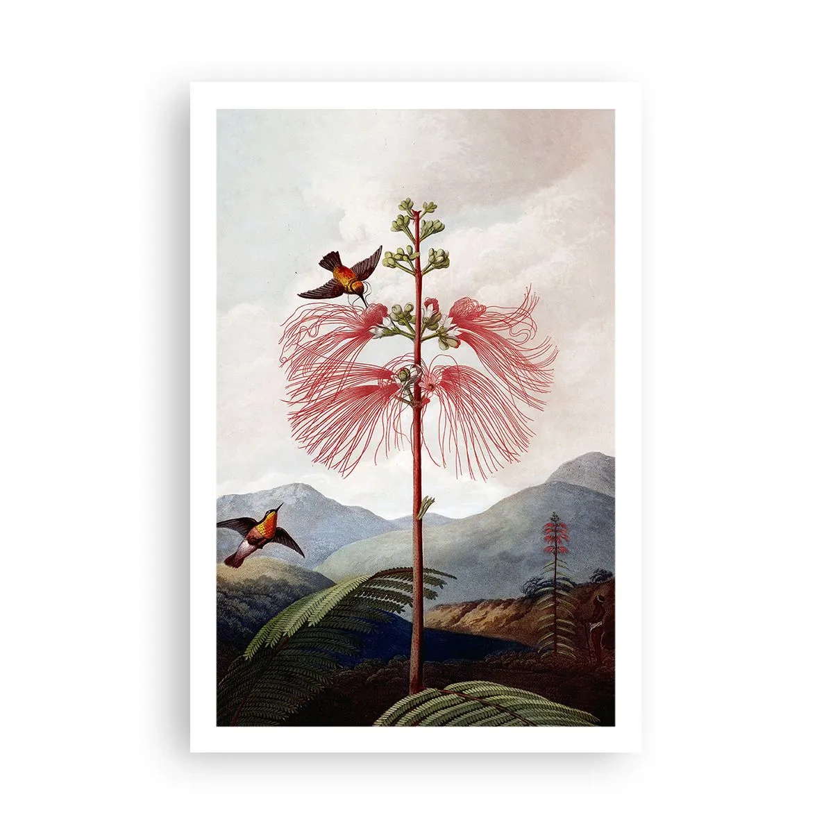 Poster - In einem tropischen Paradies - 61x91 cm