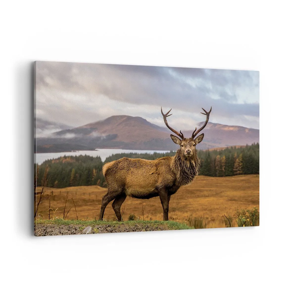 Bild auf Leinwand - Leinwandbild - Ein Hirsch vor der Kulisse einer Berglandschaft mit Seen und Wäldern - 100x70cm - Die Majestät der Natur - Moderne Wanddekoration für Wohnzimmer und Schlafzimmer ARTTOR