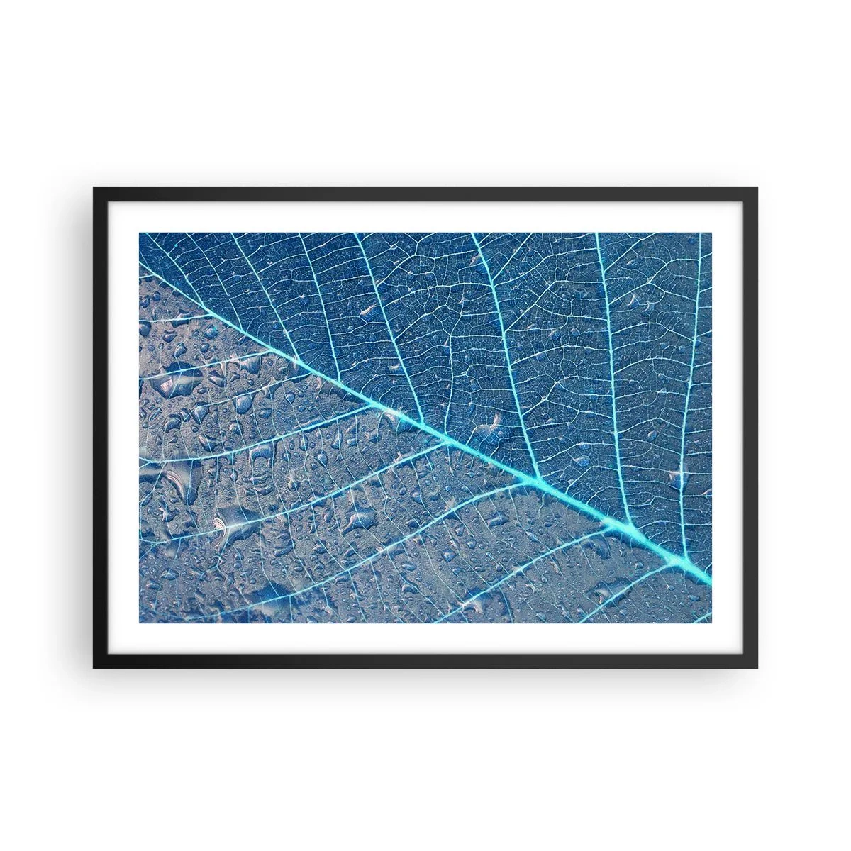 Poster in einem schwarzem Rahmen - Ein Blatt in Blautönen mit Wassertropfen - 70x50cm - Leben in Blau - Moderne Wanddekoration für Wohnzimmer und Schlafzimmer ARTTOR