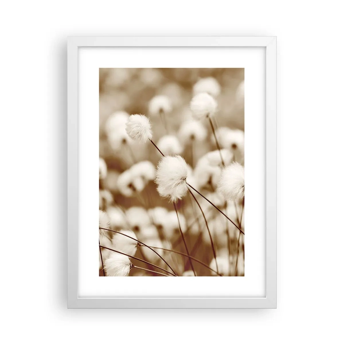 Poster in einem weißen Rahmen - Flauschiges Kornfeld - 30x40 cm