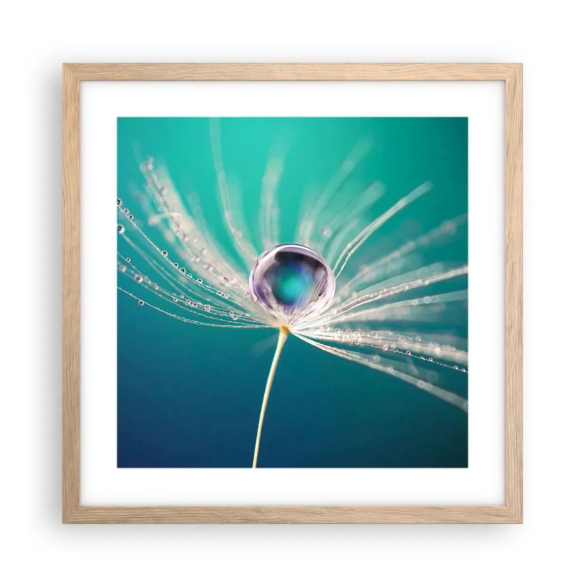 Poster in einem Rahmen aus heller Eiche - Mystischer Moment - 40x40 cm