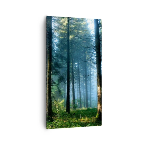 Bild auf Leinwand - Leinwandbild - Strahlend am Morgen - 55x100 cm