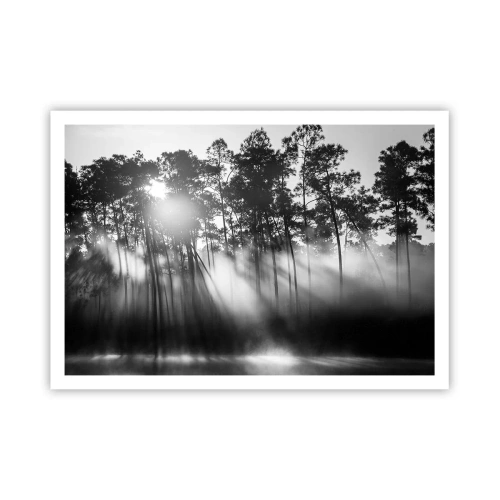 Poster - Schwarz-weißer Wald im Morgennebel - 100x70cm - Unaufhaltsame Sonne - Moderne Wanddekoration für Wohnzimmer und Schlafzimmer ARTTOR