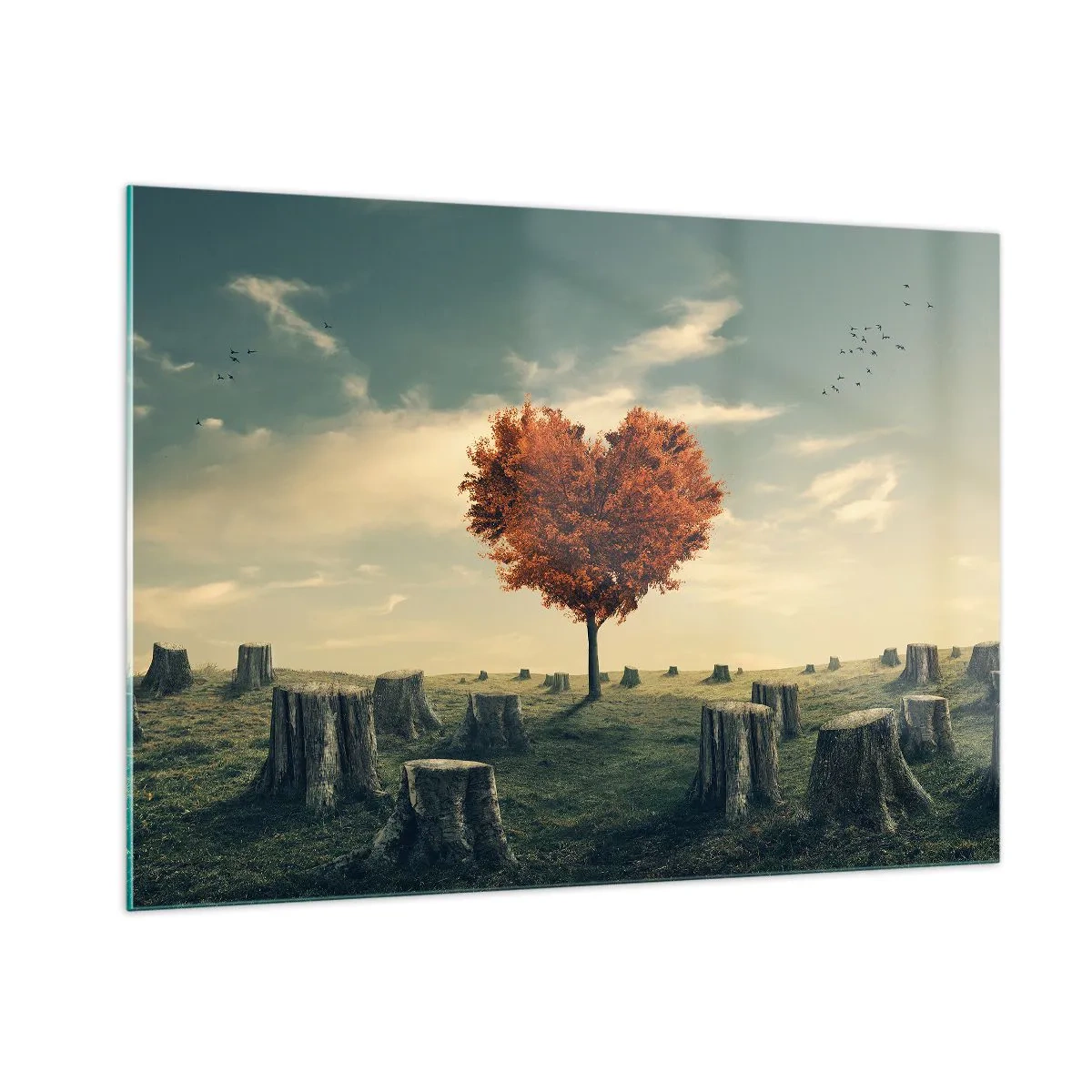 Glasbild - Bild auf glas - Ein herzförmiger Baum, umgeben von abgesägten Stämmen auf einer Lichtung - 100x70cm - Es gibt noch Hoffnung - Moderne Wanddekoration für Wohnzimmer und Schlafzimmer ARTTOR