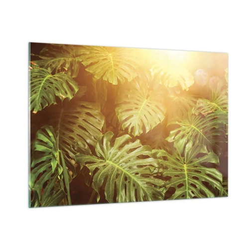 Glasbild - Bild auf glas - Grüne Monstera-Blätter im goldenen Licht der tropischen Sonne - 100x70cm - Ins Grüne tretren... - Moderne Wanddekoration für Wohnzimmer und Schlafzimmer ARTTOR