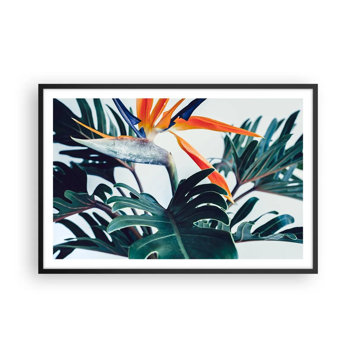 Poster in einem schwarzem Rahmen - Vogelbusch - 91x61 cm