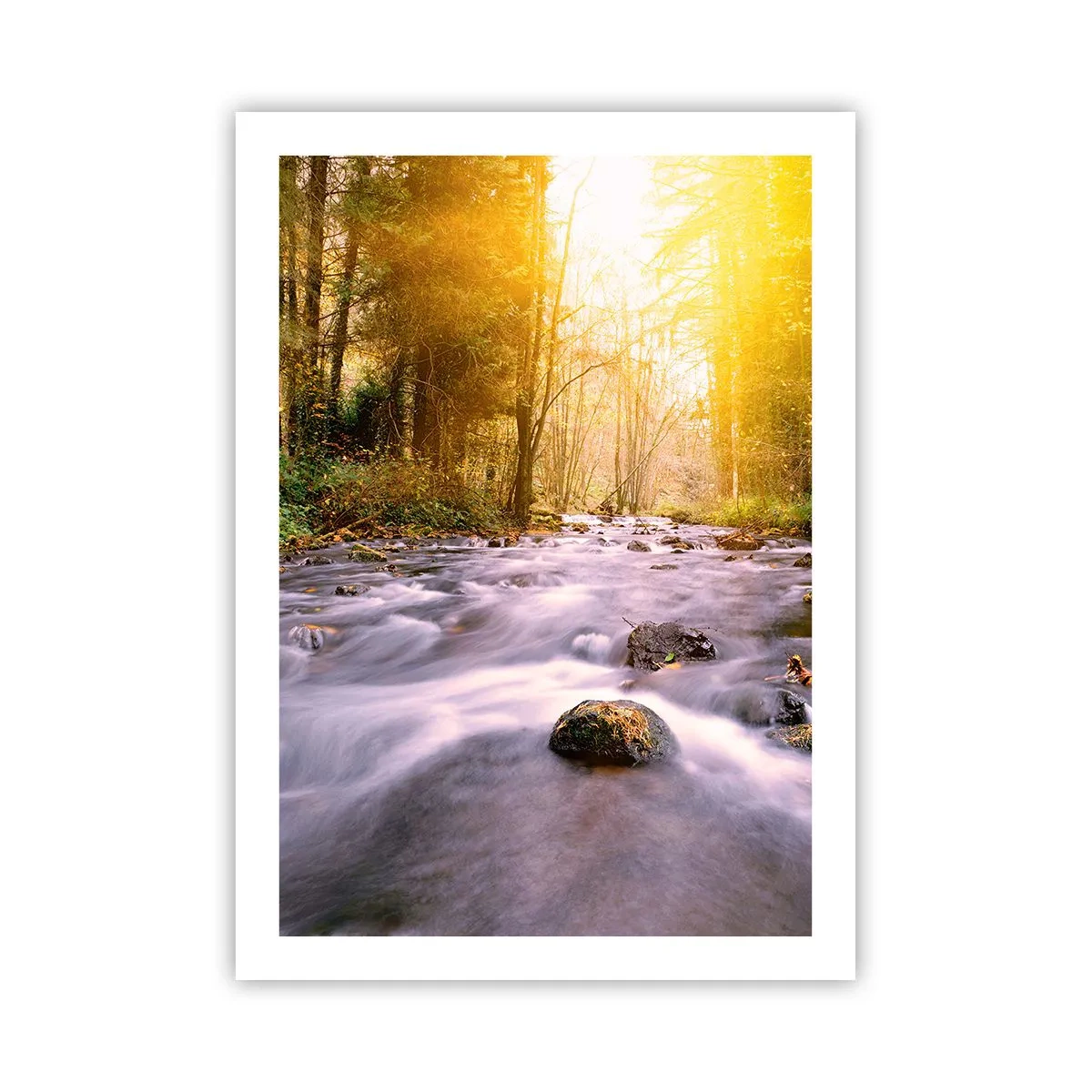 Poster - Ein Bach im Wald im Sonnenlicht - 50x70cm - Malachit im Silber- und Goldrahmen - Moderne Wanddekoration für Wohnzimmer und Schlafzimmer ARTTOR