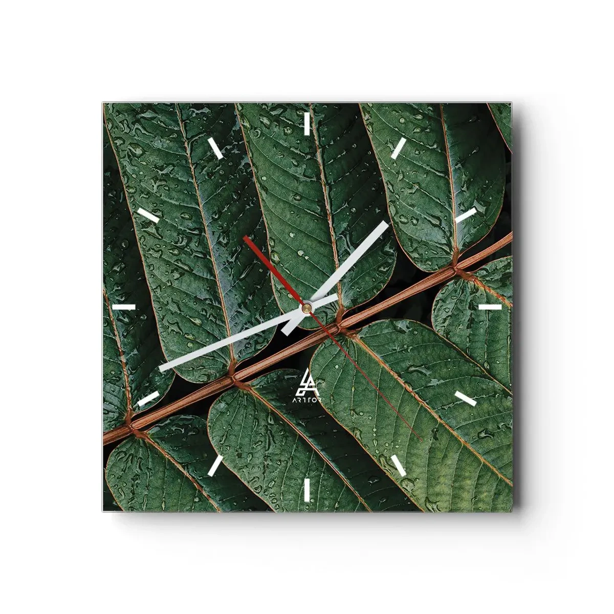 Wanduhr - Glasuhr - Im grünen Rhythmus - 40x40 cm