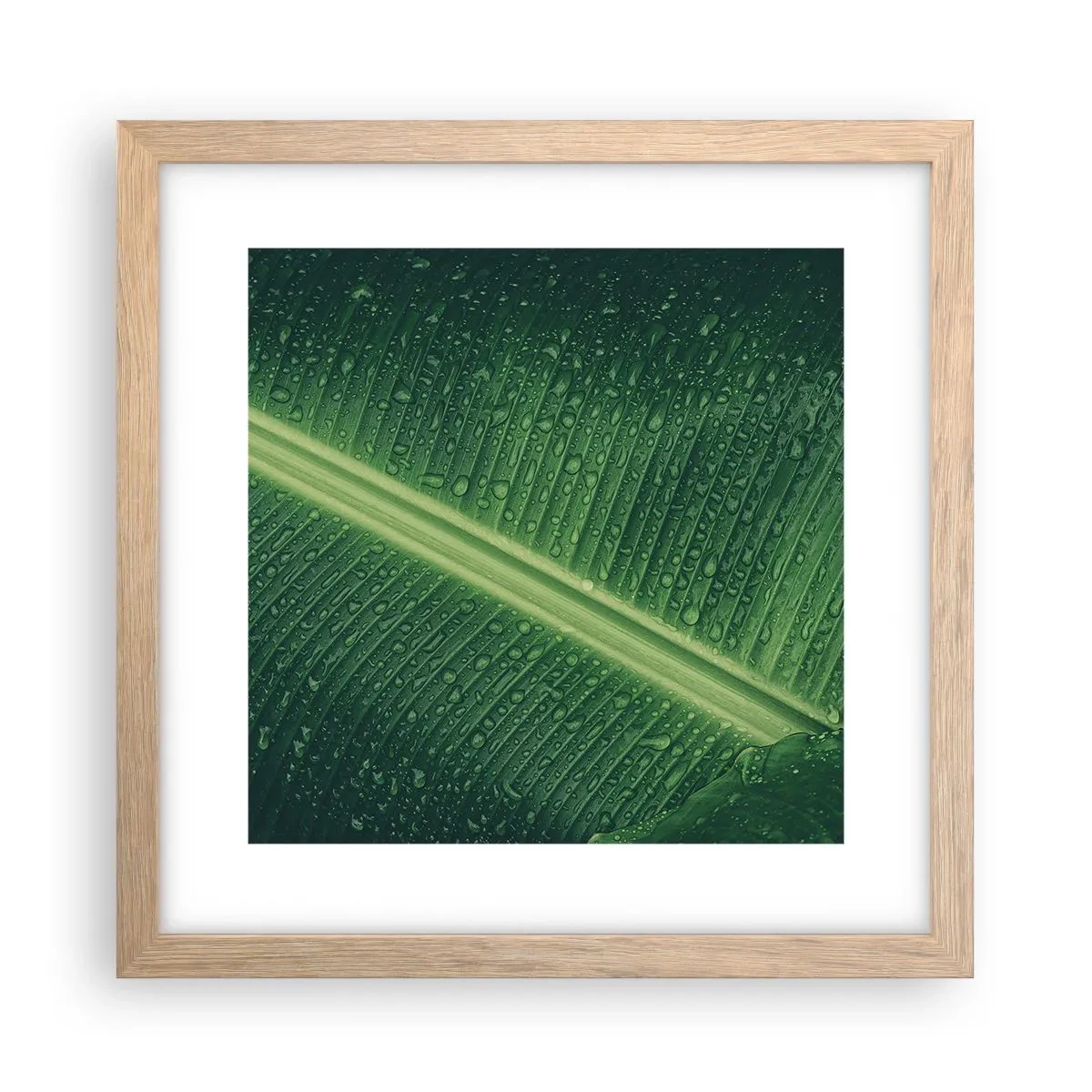Poster in einem Rahmen aus heller Eiche - Die Struktur des Grüns - 30x30 cm