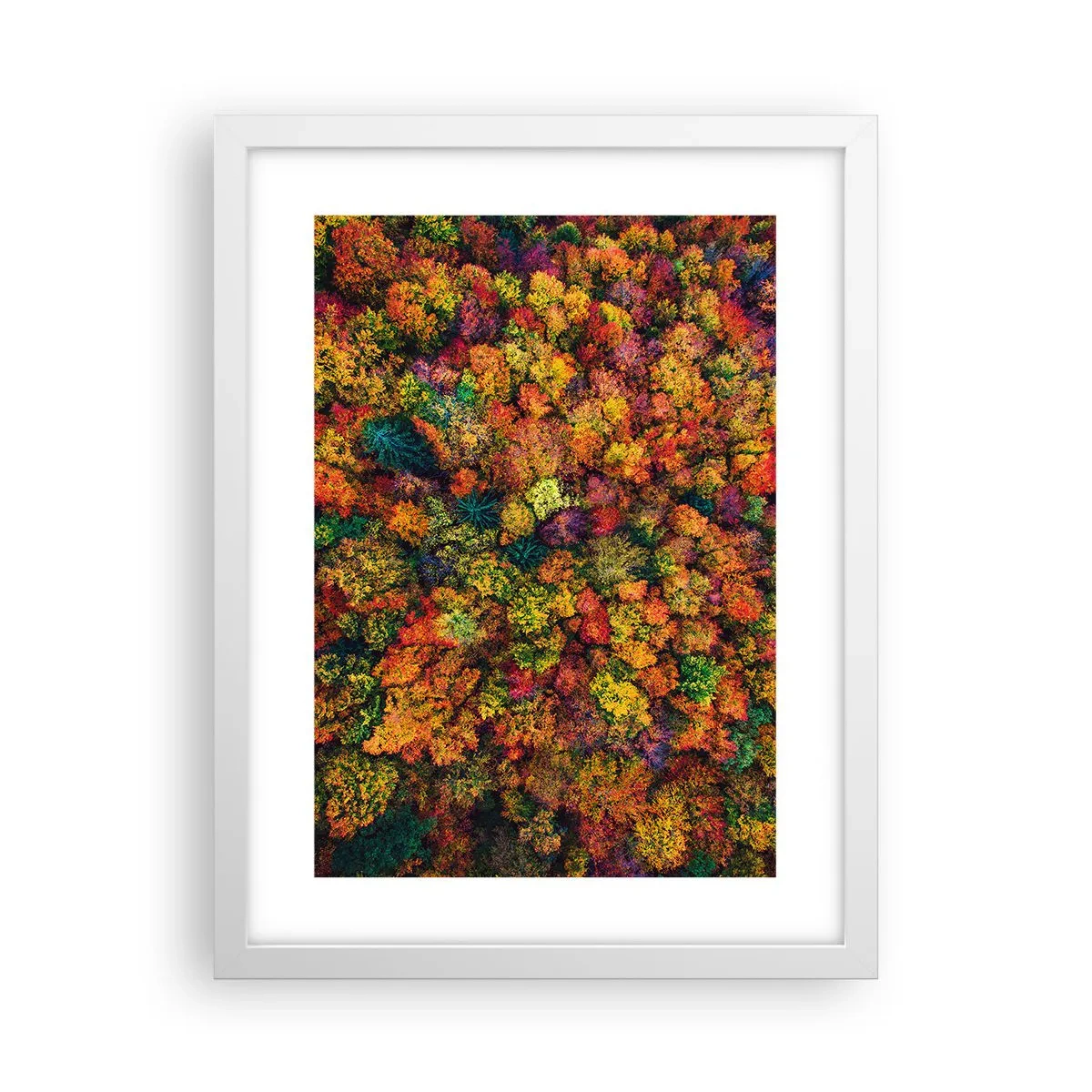 Poster in einem weißen Rahmen - Blumenstrauß aus Herbstbäumen - 30x40 cm