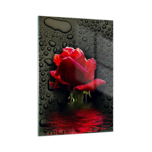 Glasbild - Bild auf glas - Rote Rose mit Wassertropfen auf dunklem Hintergrund - 50x70cm - rot und Schwarz - Moderne Wanddekoration für Wohnzimmer und Schlafzimmer ARTTOR
