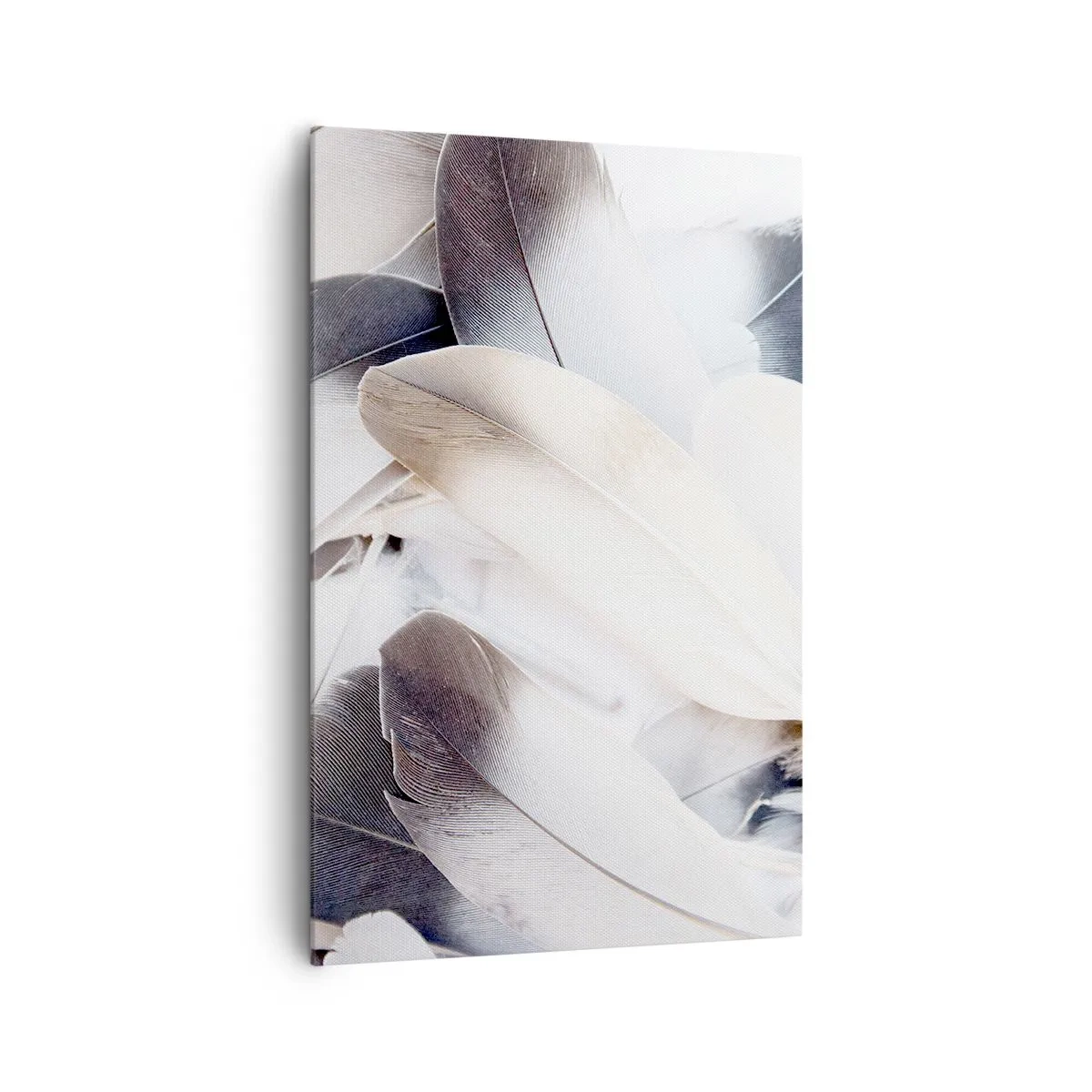 Bild auf Leinwand - Leinwandbild - Nahaufnahme zarter Federn in Weiß- und Grautönen - 80x120cm - Fast engelhaft - Moderne Wanddekoration für Wohnzimmer und Schlafzimmer ARTTOR