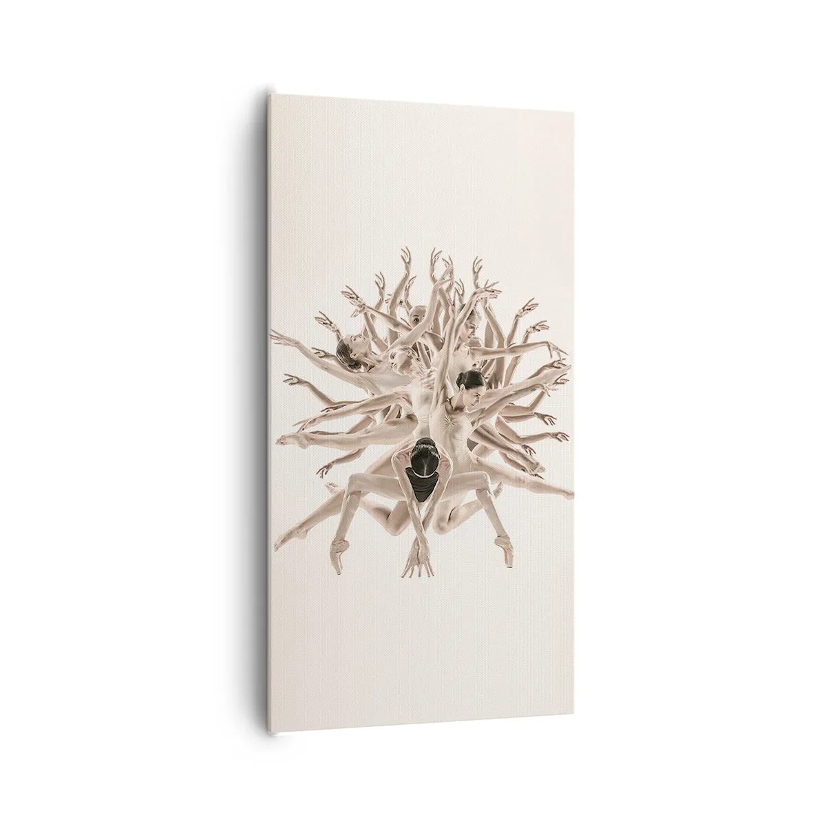 Bild auf Leinwand - Leinwandbild - Aufblühen im Tanz - 65x120 cm