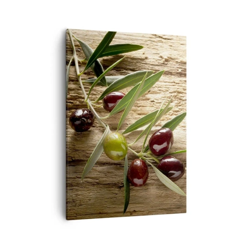Bild auf Leinwand - Leinwandbild - Olivenzweig mit Früchten auf einem Hintergrund aus gealtertem Holz - 50x70cm - Direkt aus der Natur - Moderne Wanddekoration für Wohnzimmer und Schlafzimmer ARTTOR