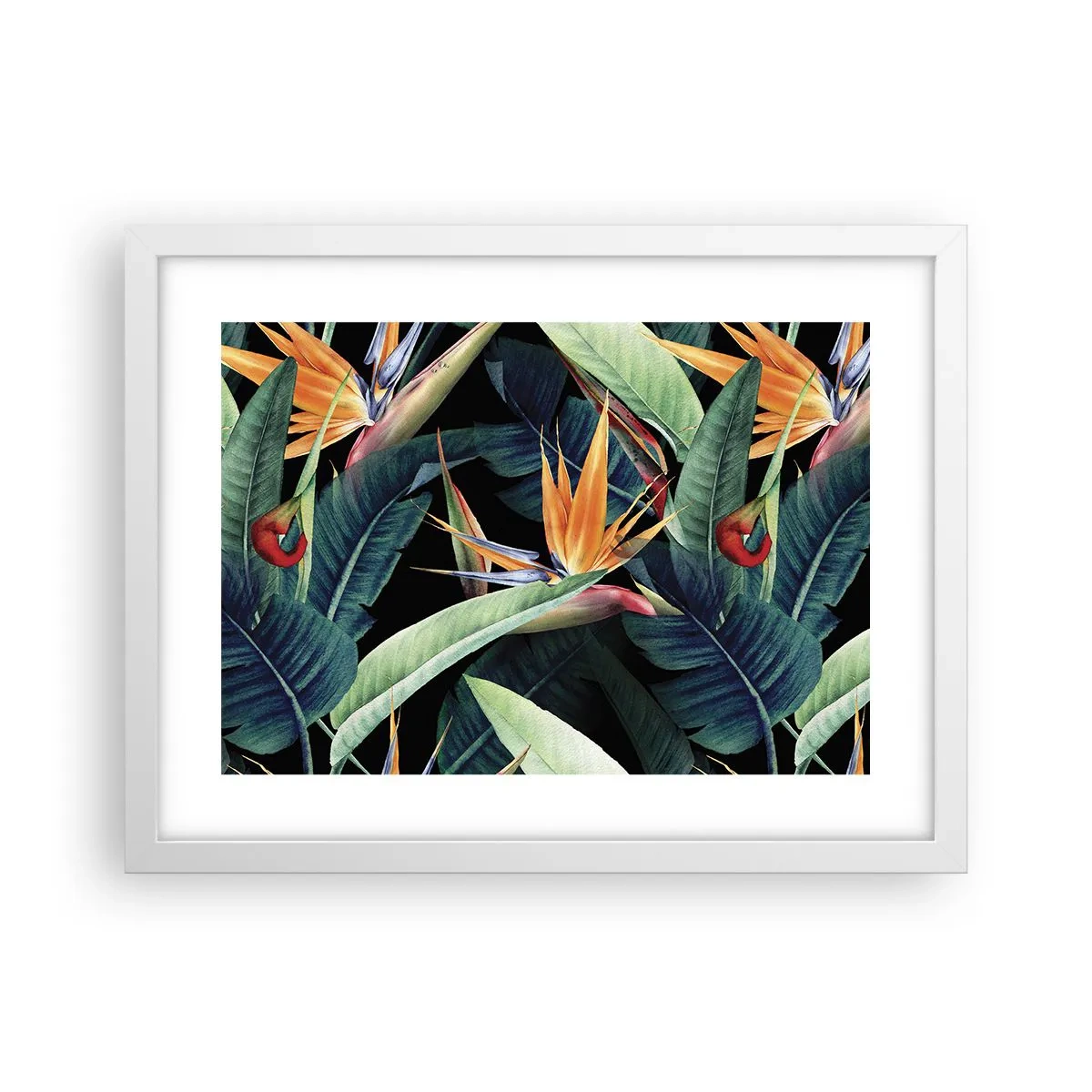 Poster in einem weißen Rahmen - Flammende Blumen der Tropen - 40x30 cm