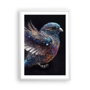 Poster in einem weißen Rahmen - Diamantsperling - 50x70 cm