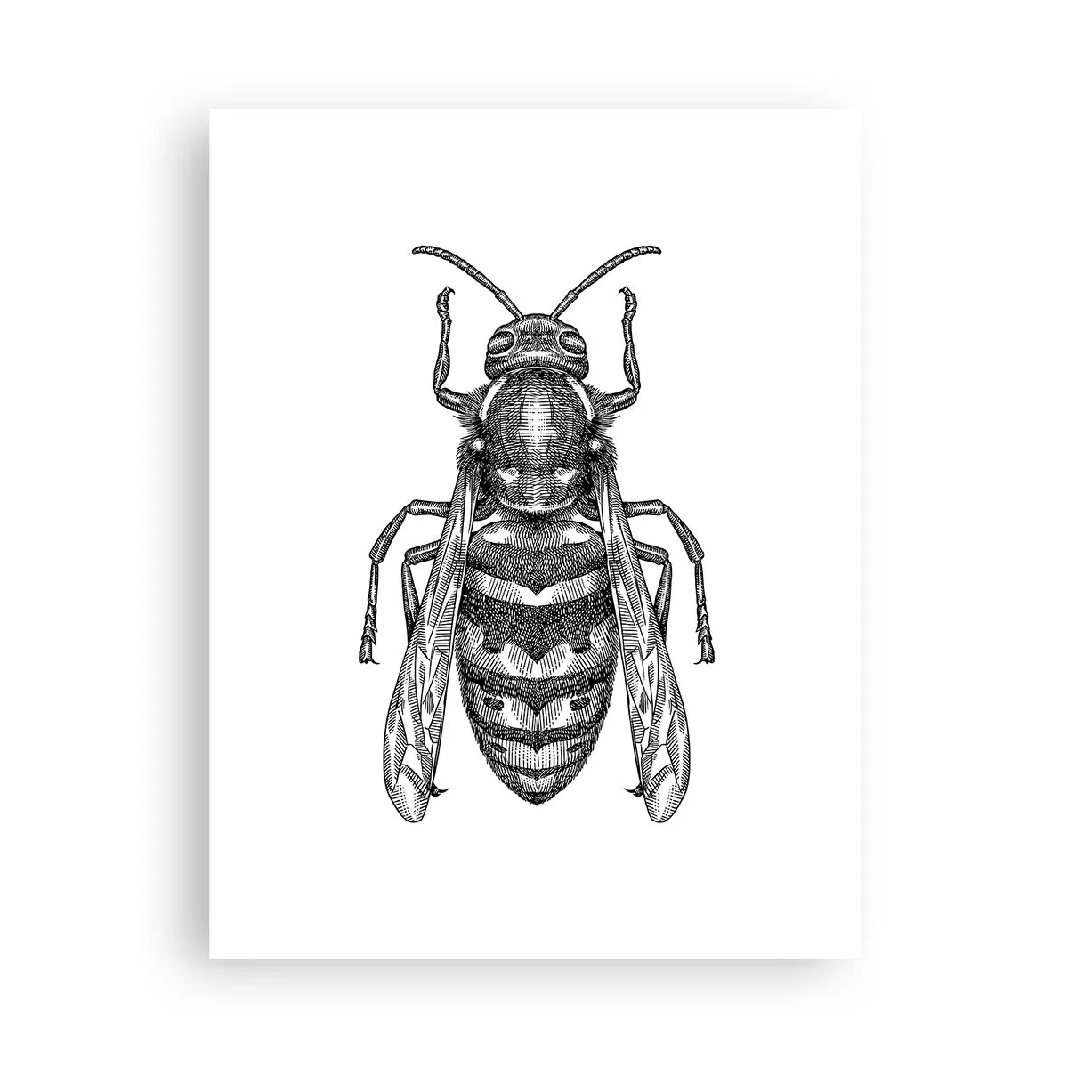Poster - Von einem Insektenplaneten - 30x40 cm