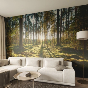 Maßgeschneiderte selbstklebende Fototapete Deluxe Sticker - … Hinter den sieben Wäldern - Landschaft, Wald, Natur
