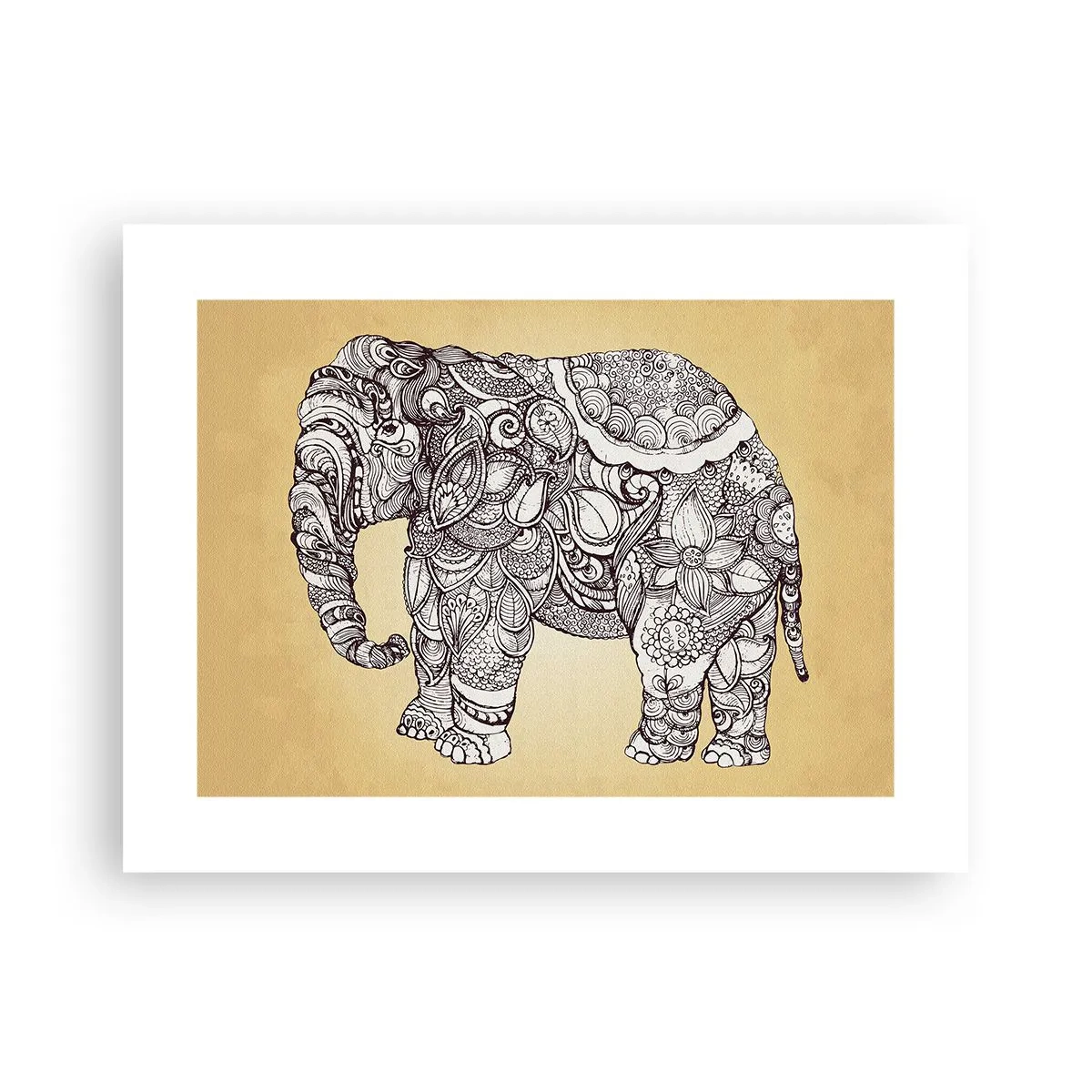 Poster - Elefant verhüllte sich - 40x30 cm