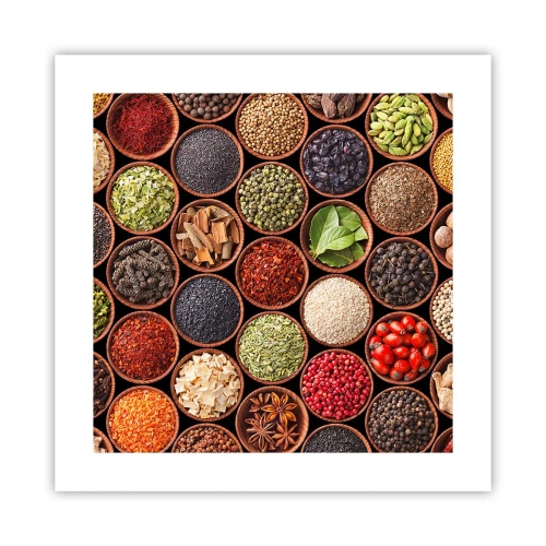 Poster - Alle Aromen der Welt - 40x40 cm
