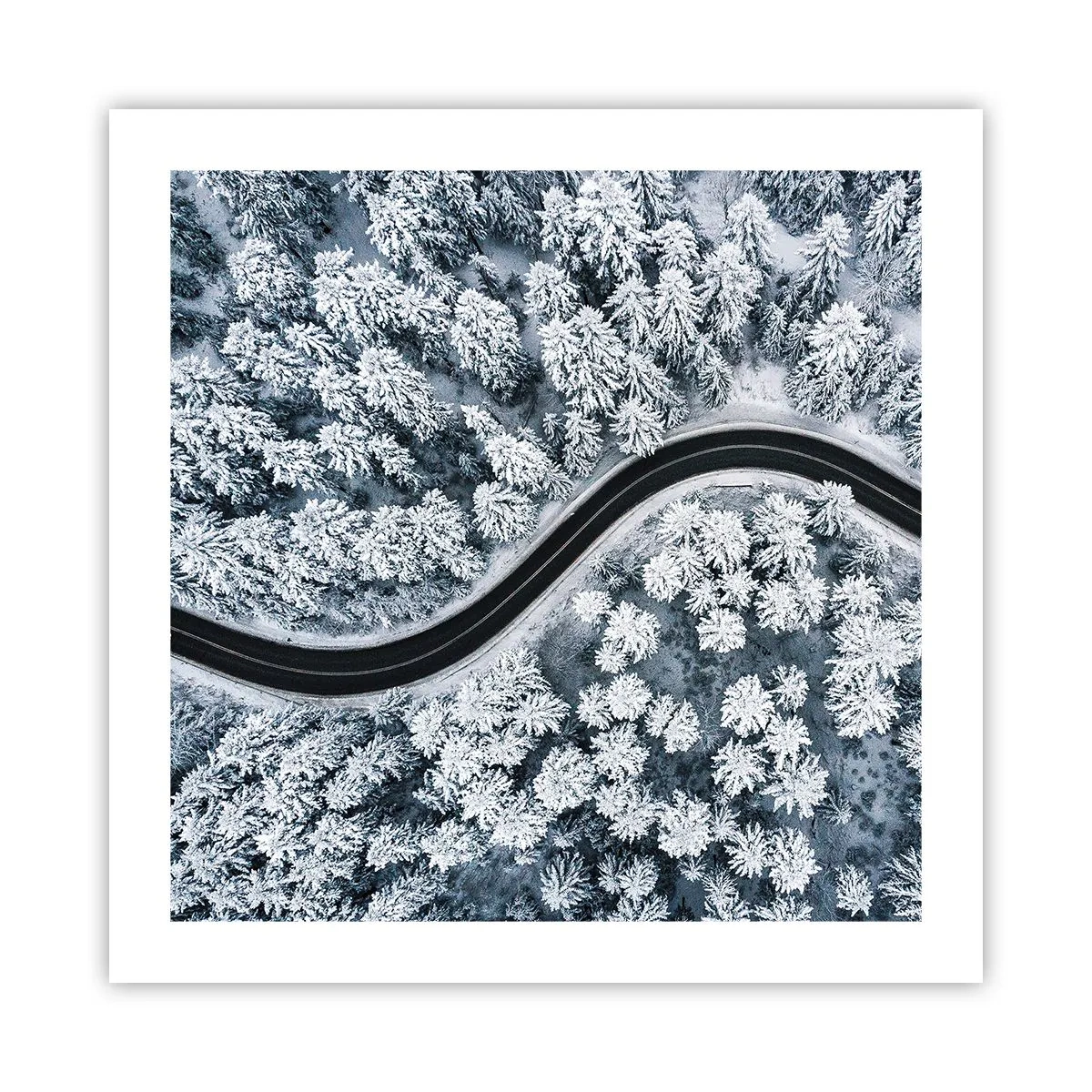 Poster - Durch den Winterwald - 50x50 cm