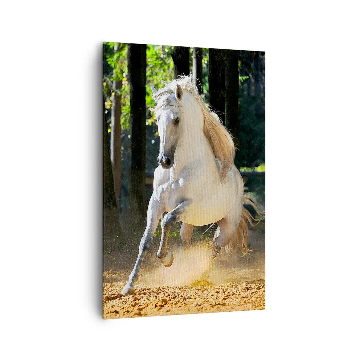 Bild auf Leinwand - Leinwandbild - Ein weißes Pferd galoppiert durch eine Waldlichtung - 80x120cm - Wie aus einem Fantasy-Roman - Moderne Wanddekoration für Wohnzimmer und Schlafzimmer ARTTOR