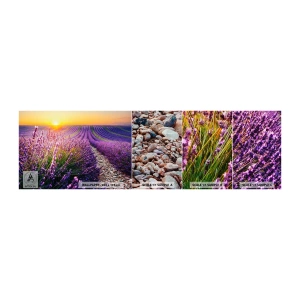 Fototapetenmuster Standard Eco - Duftende Kornfelder - Landschaft, Lavendelfeld, Provence - 100x30 cm
