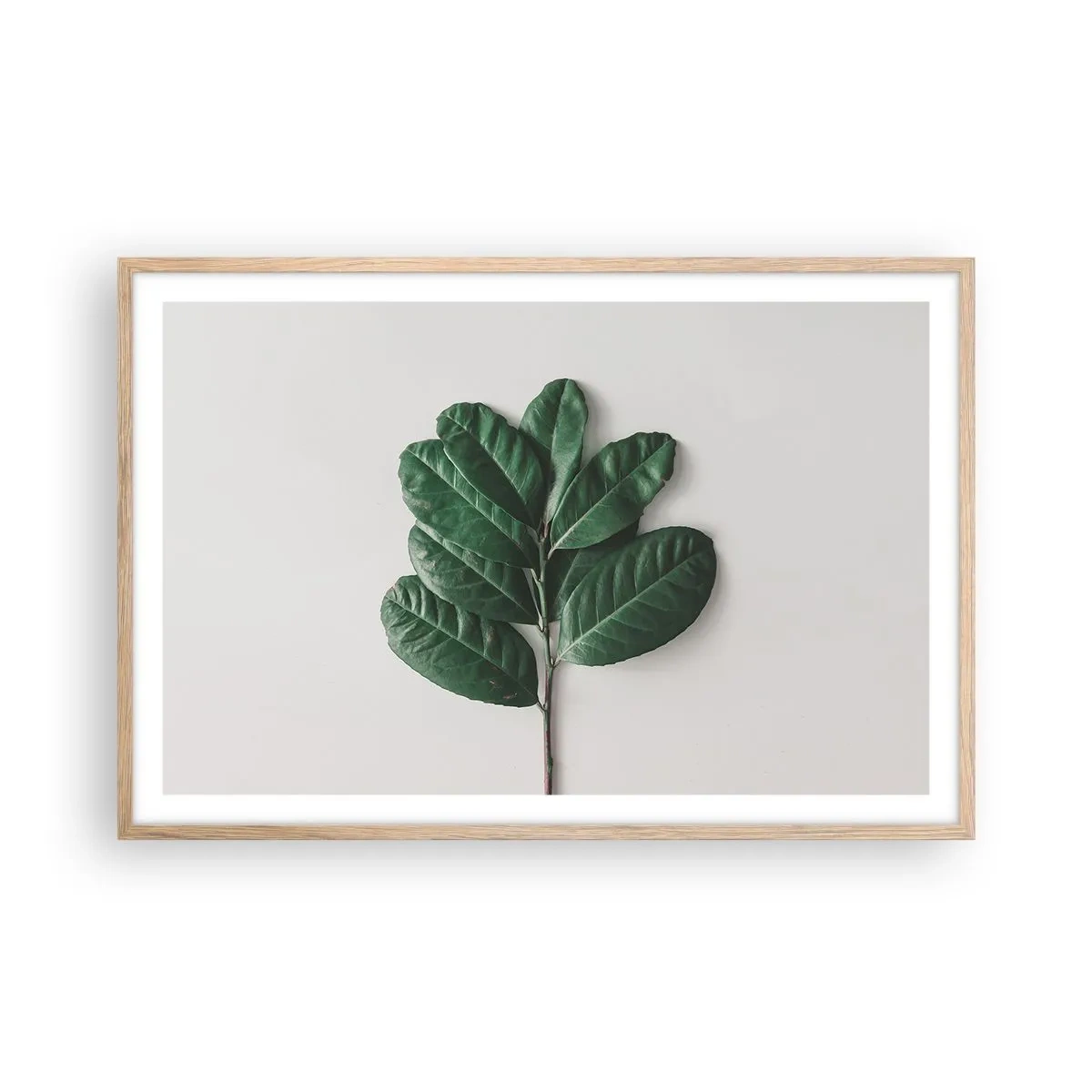 Poster in einem Rahmen aus heller Eiche - Eine Zeichnung purer Natur - 91x61 cm