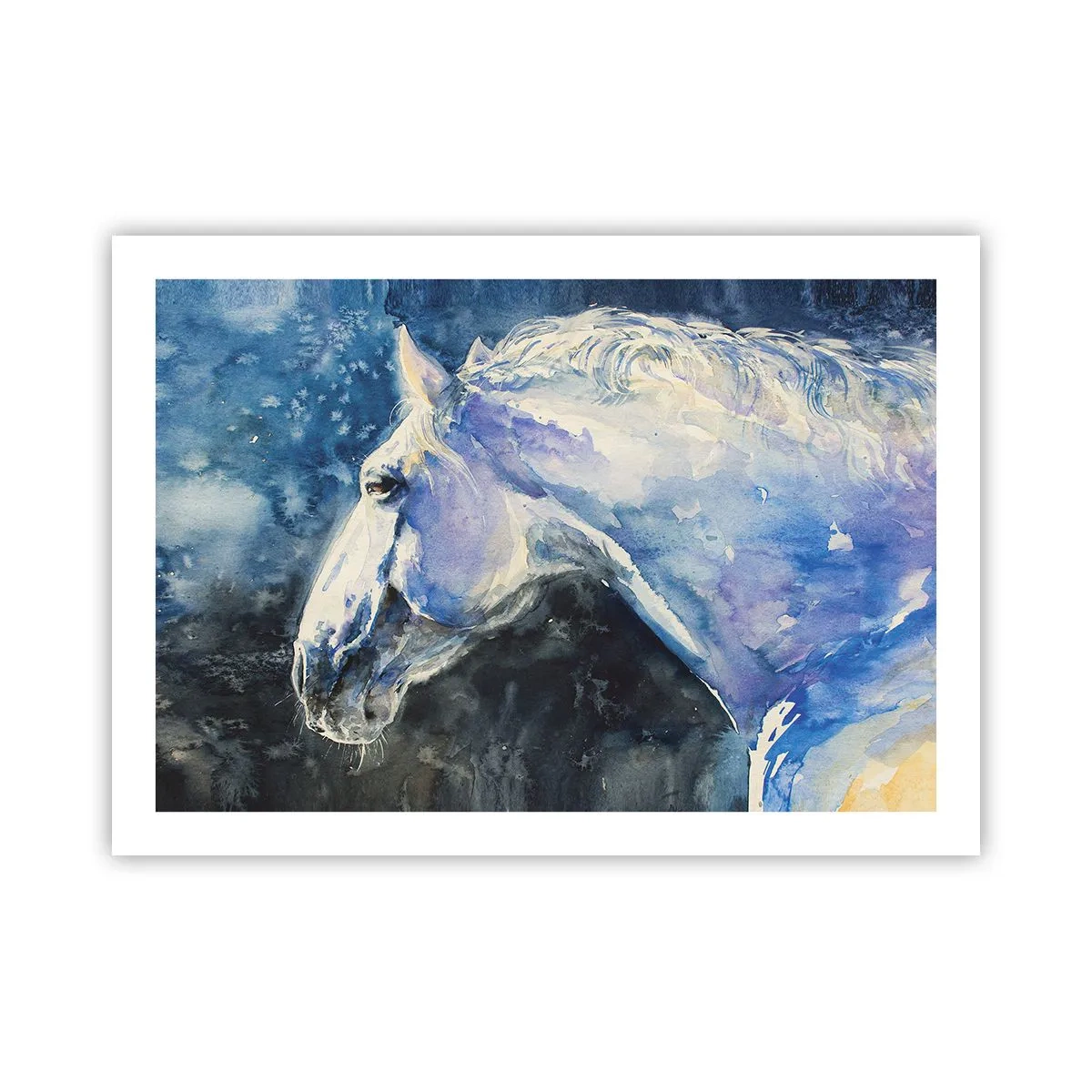 Poster - Porträt in blauem Glanz - 70x50 cm