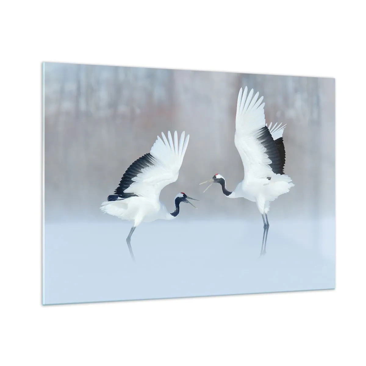 Glasbild - Bild auf glas - Tanzende Kraniche vor der Kulisse einer Winterlandschaft - 100x70cm - Tanz im Nebel - Moderne Wanddekoration für Wohnzimmer und Schlafzimmer ARTTOR