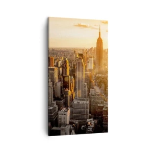 Bild auf Leinwand - Leinwandbild - In der Sonne wachsen - 45x80 cm