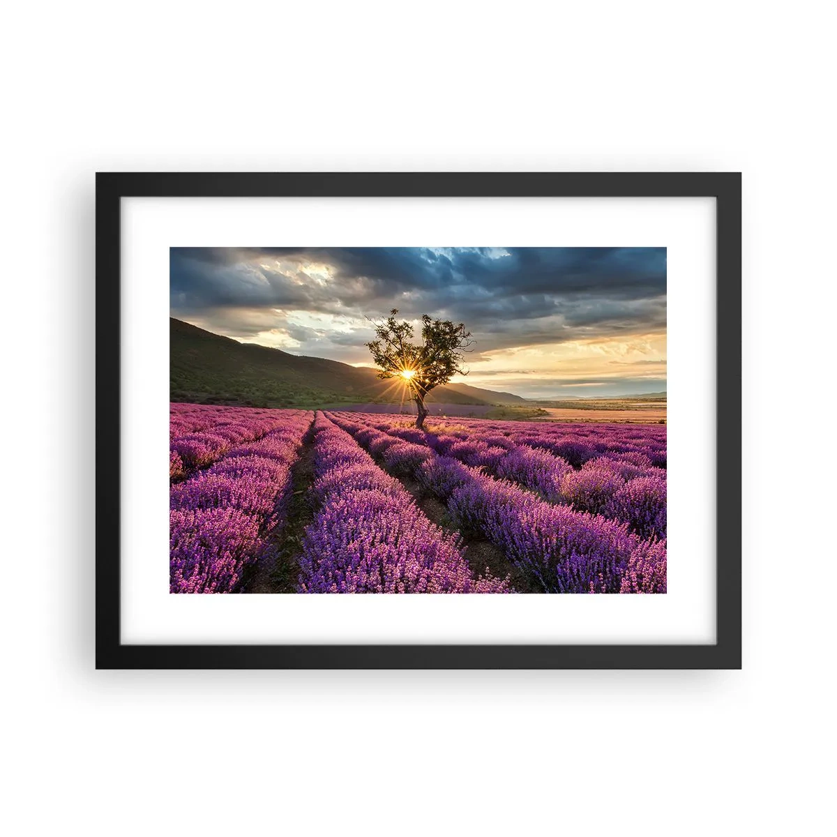 Poster in einem schwarzem Rahmen - Fliederfarbenes Aroma - 40x30 cm