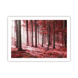Poster - Rot ist genauso schön - 70x50 cm