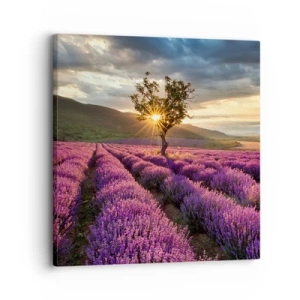 Bild auf Leinwand - Leinwandbild - Fliederfarbenes Aroma - 30x30 cm