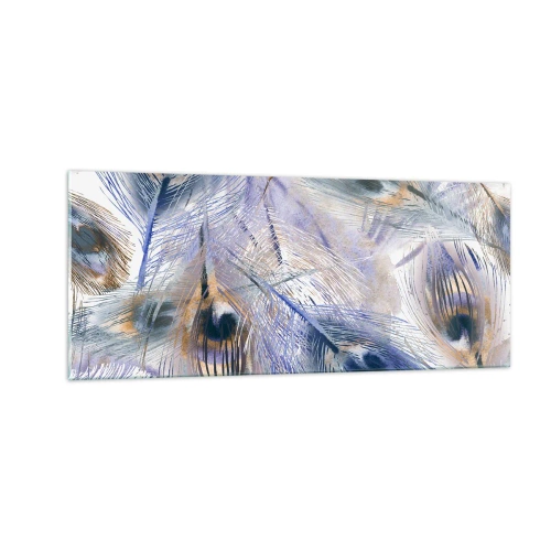 Glasbild - Bild auf glas - Pfau-Komposition - 100x40 cm