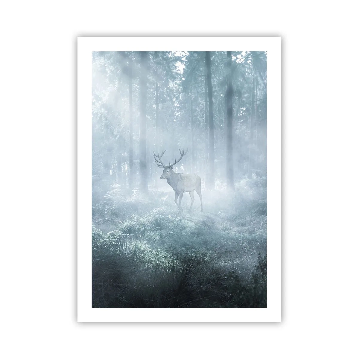 Poster - Hirsch im Morgennebel im Wald - 50x70cm - Morgenvisite auf dem Grundstück - Moderne Wanddekoration für Wohnzimmer und Schlafzimmer ARTTOR
