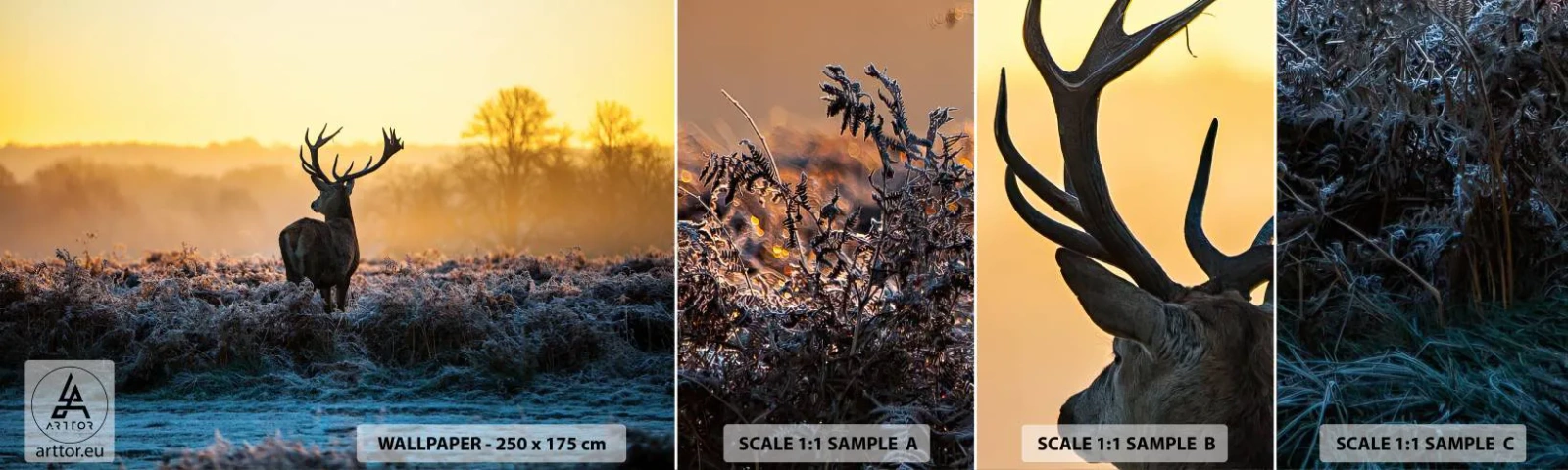 Fototapetenmuster Standard Eco - Gekrönt auf seinem Besitz - Landschaft, Tiere, Reh - 100x30 cm