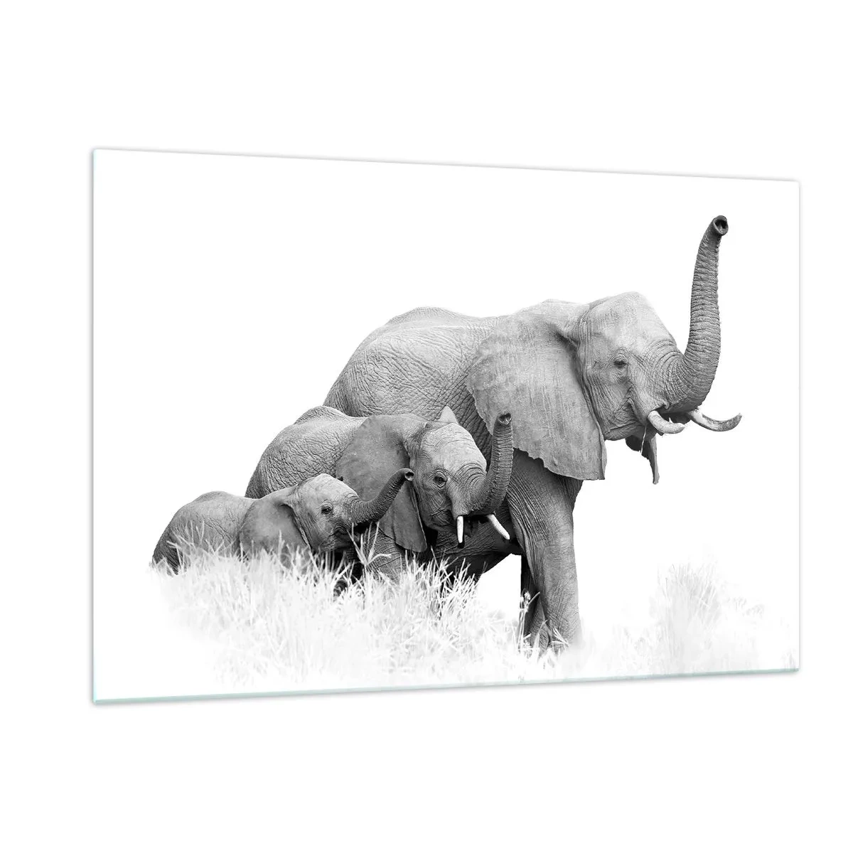 Glasbild - Bild auf glas - Schwarz-weiße Elefantenfamilie in der Natur - 120x80cm - Eins zwei drei - Moderne Wanddekoration für Wohnzimmer und Schlafzimmer ARTTOR