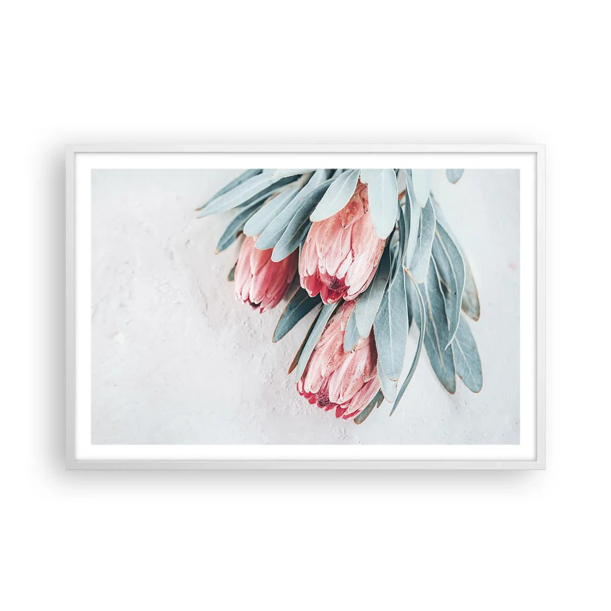 Poster in einem weißen Rahmen - Schämen sich für ihre eigene Schönheit - 91x61 cm