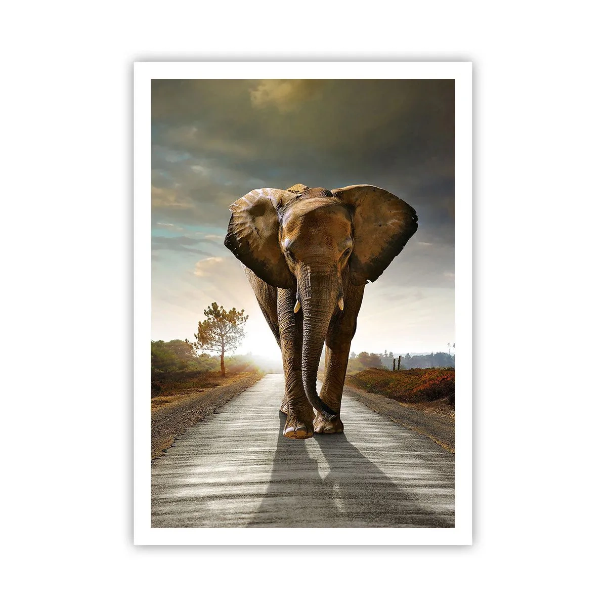 Poster - Und schon gar nicht in einem Porzellanlager - 70x100 cm