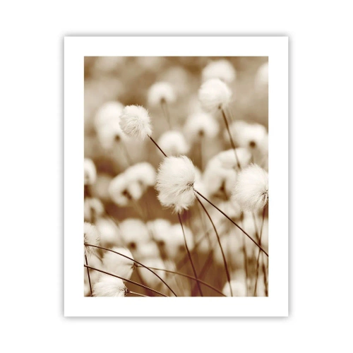 Poster - Flauschiges Kornfeld - 40x50 cm