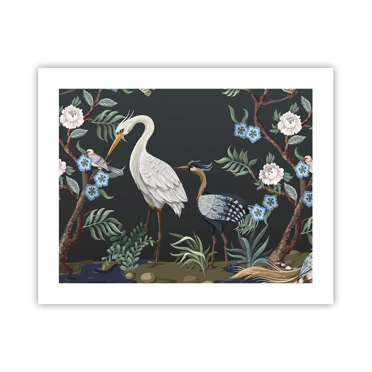 Poster - Vogelparade - 50x40 cm