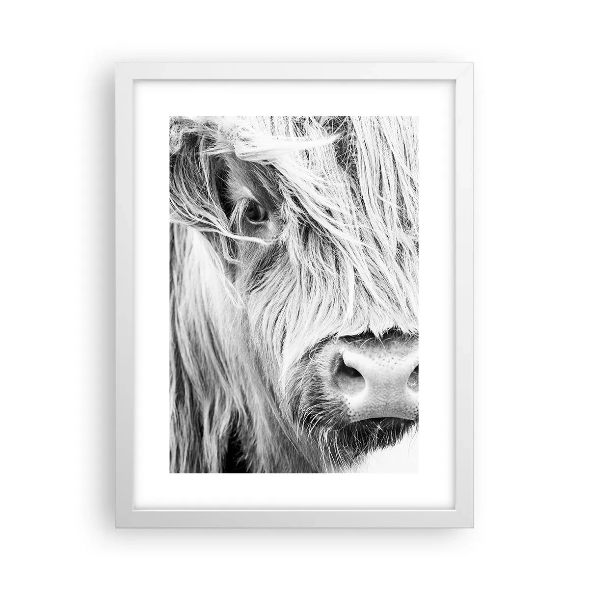 Poster in einem weißen Rahmen - Schottische Wildheit - 30x40 cm