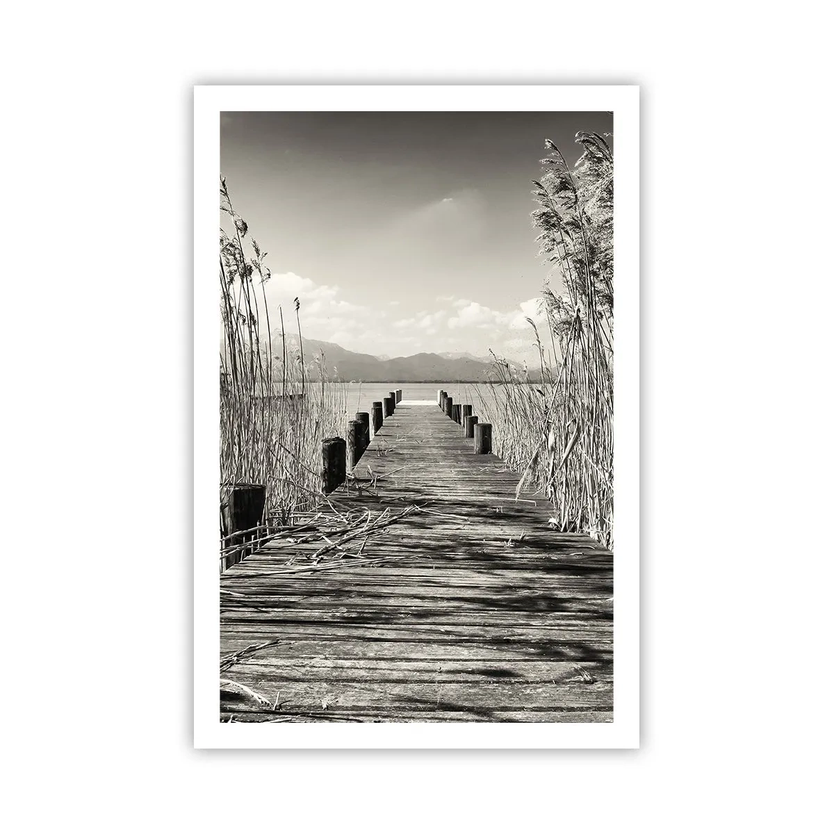 Poster - In der Stille des Grases - 61x91 cm