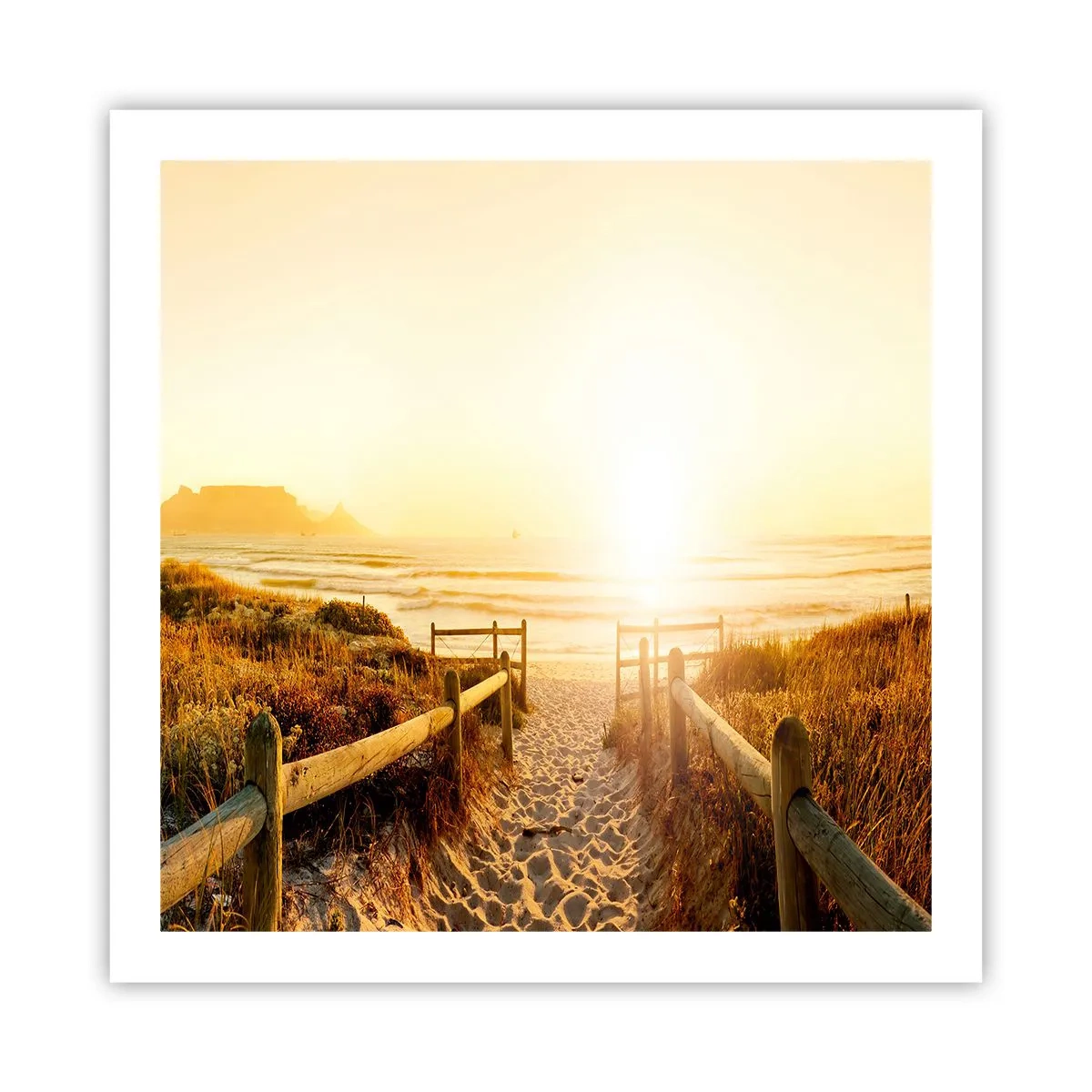 Poster - Über die Düne, der Sonne entgegen - 60x60 cm