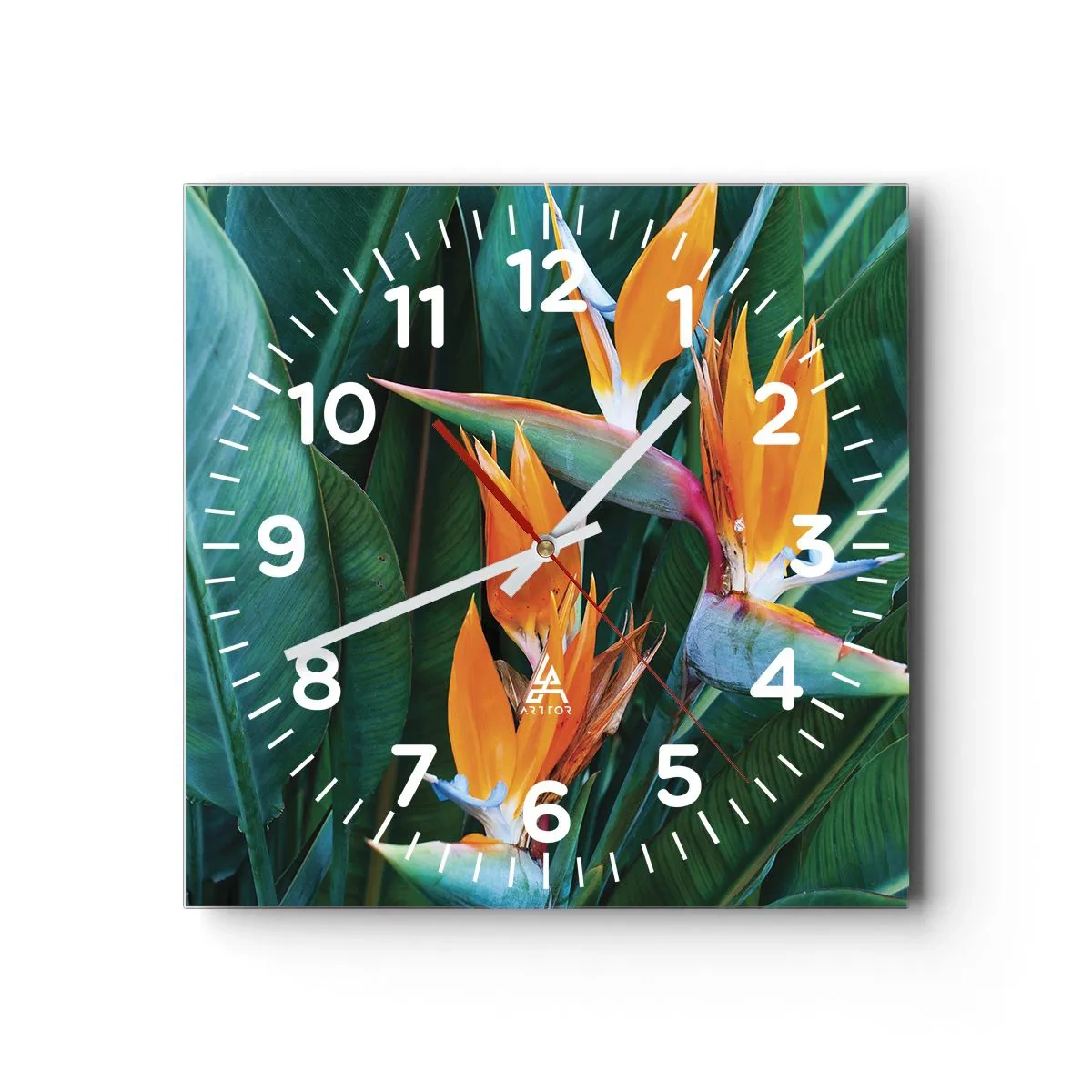 Wanduhr - Glasuhr - Ist es eine Blume oder ist es ein Vogel? - 40x40 cm