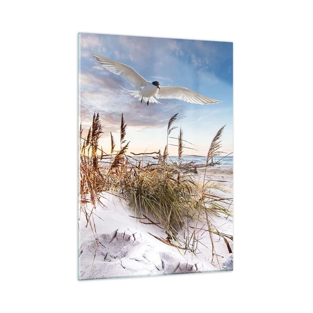 Glasbild - Bild auf glas - Ein Vogel fliegt bei Sonnenuntergang über die Dünen - 50x70cm - Wind vom Meer - Moderne Wanddekoration für Wohnzimmer und Schlafzimmer ARTTOR