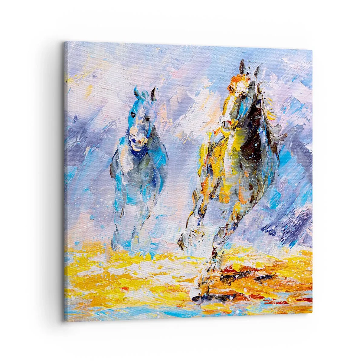 Bild auf Leinwand - Leinwandbild - Galopp durch die Blendung - 50x50 cm