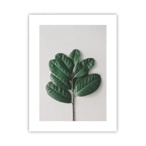 Poster - Eine Zeichnung purer Natur - 30x40 cm