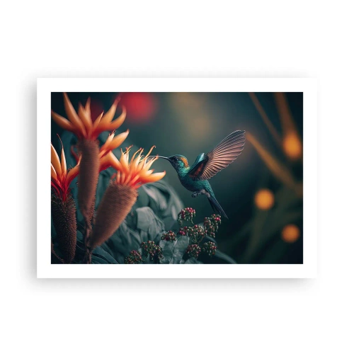 Poster - Wirklich buntes Leben - 70x50 cm